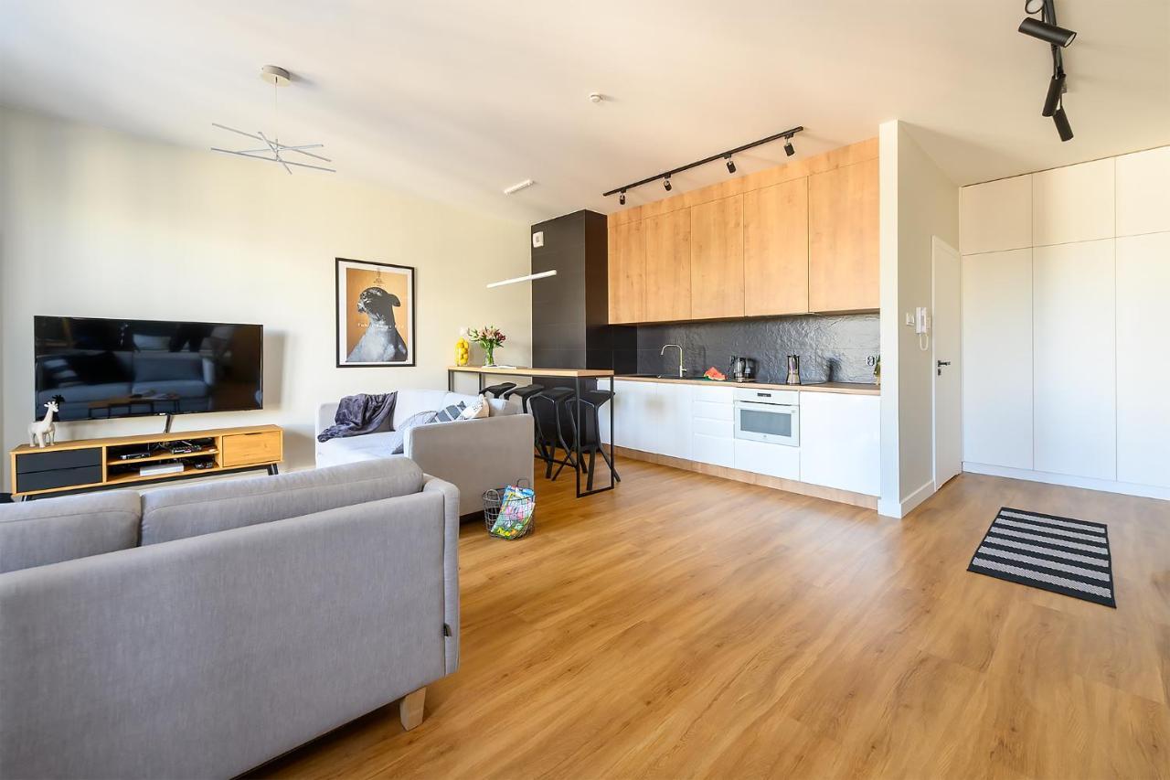 Luxe, Przestronny, W Centrum Apartment Lodz (Lodz)